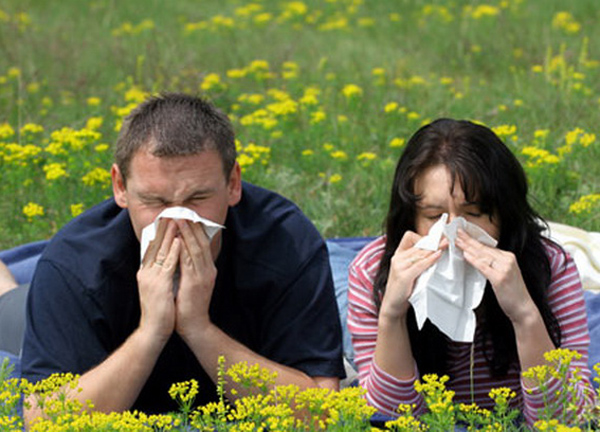 Как побороть    сезонную аллергию?